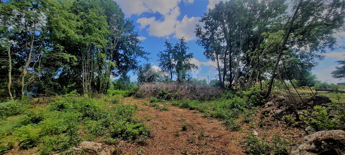 Terreno Žminj, 5.812m2