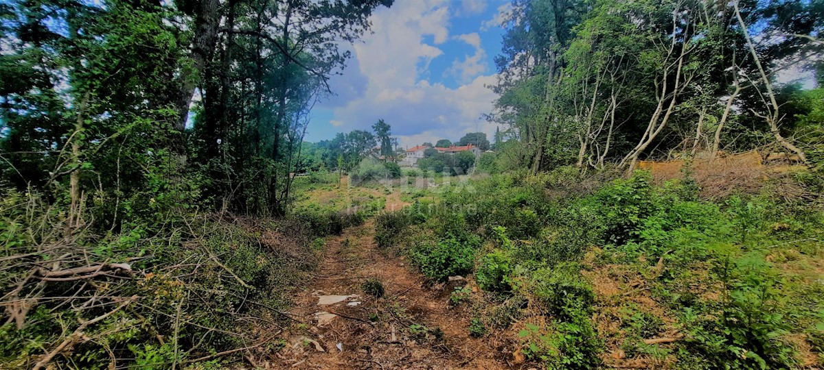 Terreno Žminj, 5.812m2