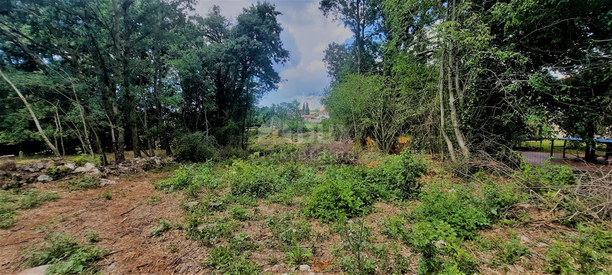 Terreno Žminj, 5.812m2