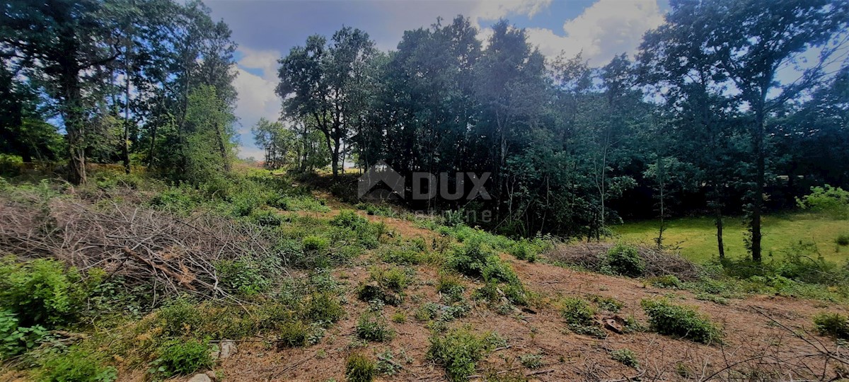 Terreno Žminj, 5.812m2