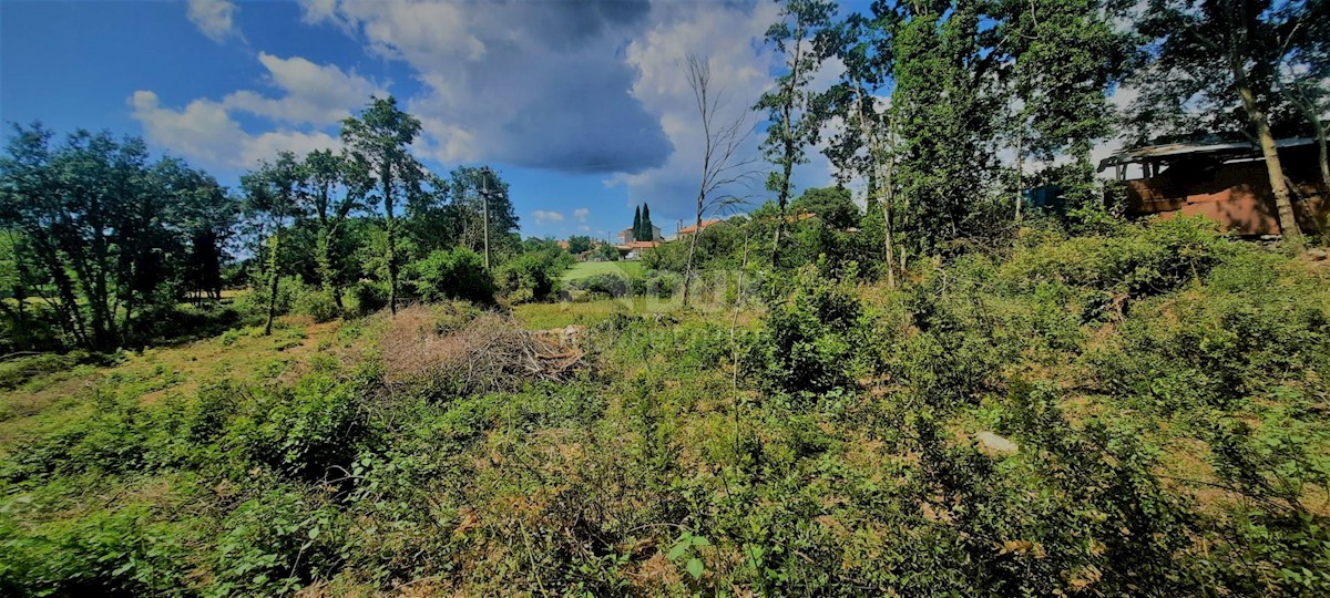 Terreno Žminj, 5.812m2