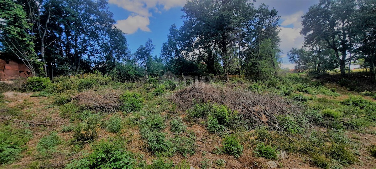 Terreno Žminj, 5.812m2