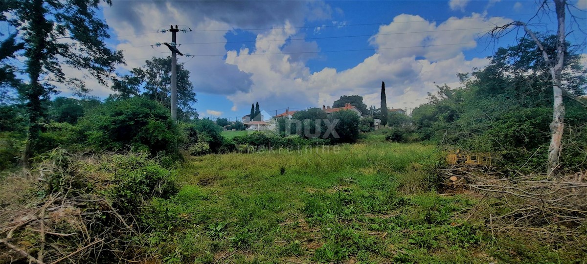 Terreno Žminj, 5.812m2