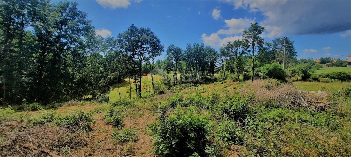 Terreno Žminj, 5.812m2
