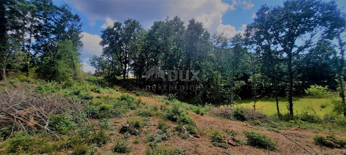 Terreno Žminj, 5.812m2