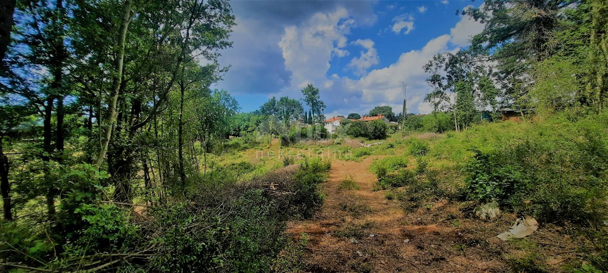 Terreno Žminj, 5.812m2