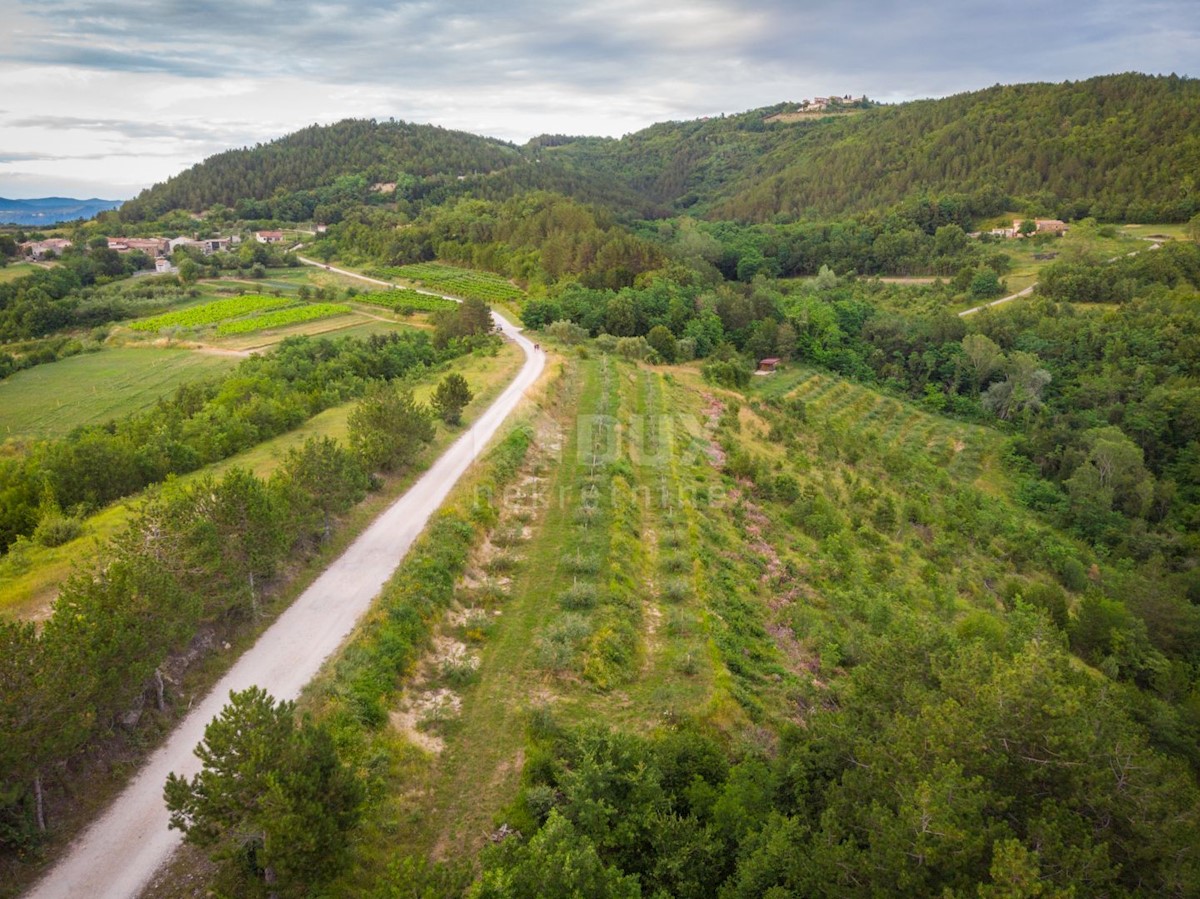 Terreno Grimalda, Cerovlje, 22.800m2