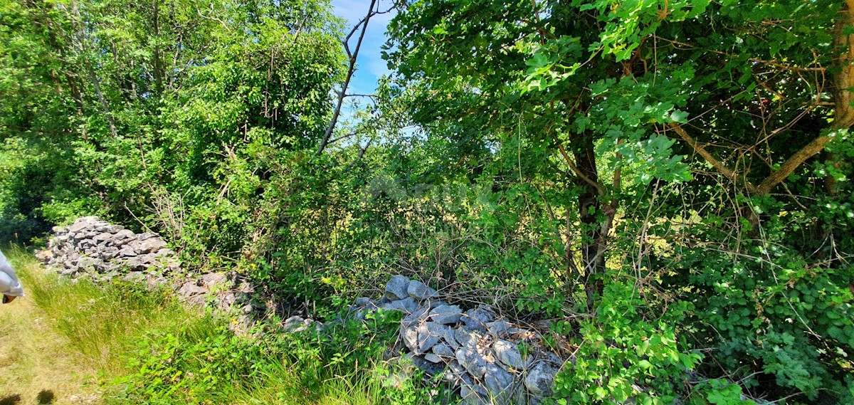 Terreno Nedešćina, Sveta Nedelja, 2.629m2