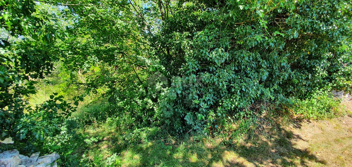 Terreno Nedešćina, Sveta Nedelja, 2.629m2