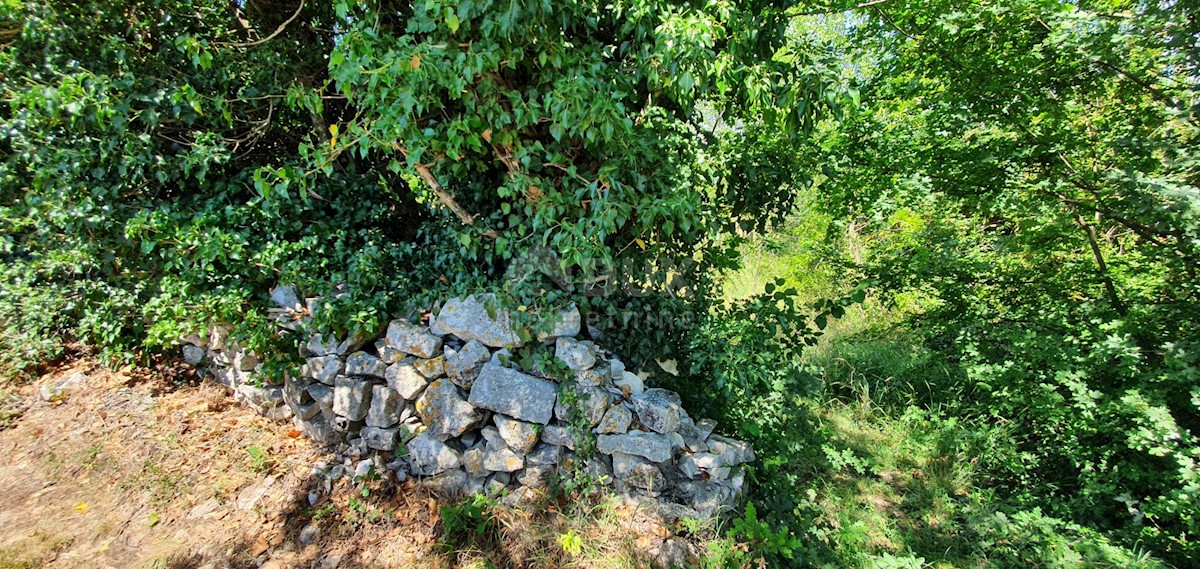 Terreno Nedešćina, Sveta Nedelja, 2.629m2