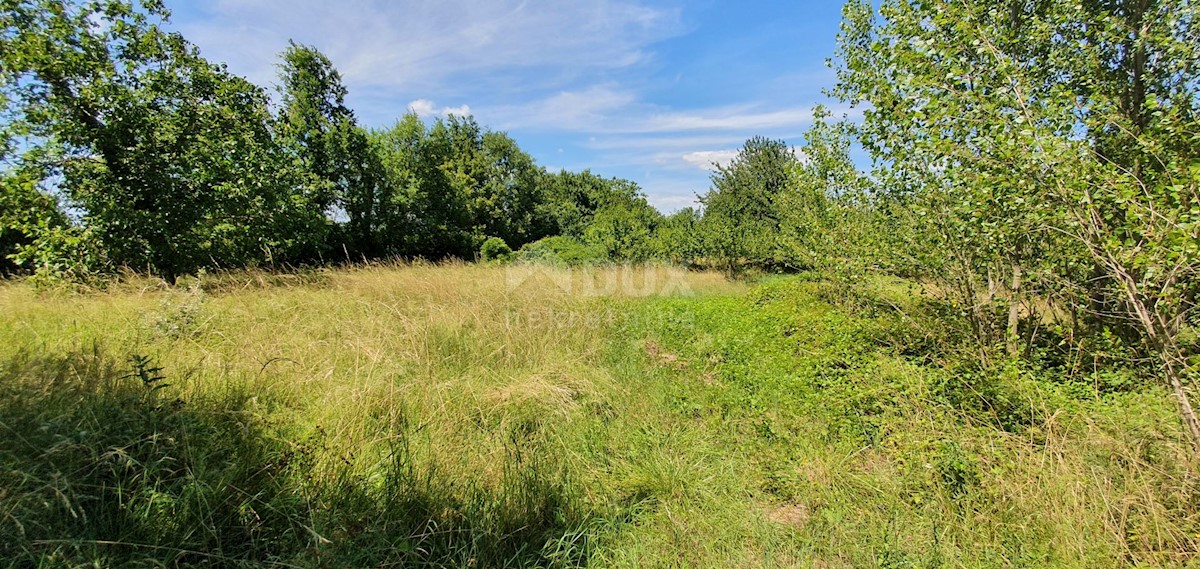 Terreno Nedešćina, Sveta Nedelja, 2.629m2