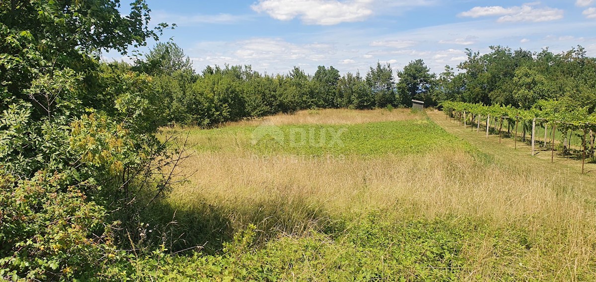 Terreno Nedešćina, Sveta Nedelja, 2.629m2