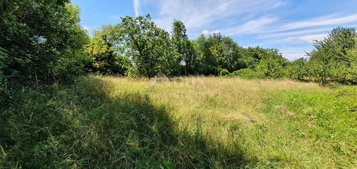 Terreno Nedešćina, Sveta Nedelja, 2.629m2
