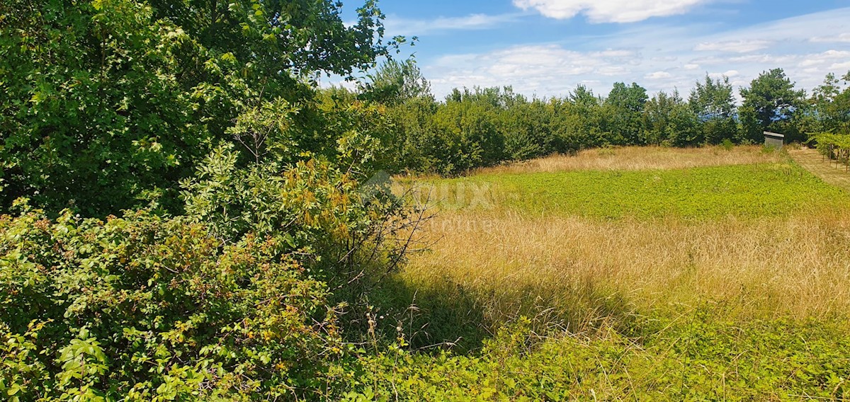 Terreno Nedešćina, Sveta Nedelja, 2.629m2