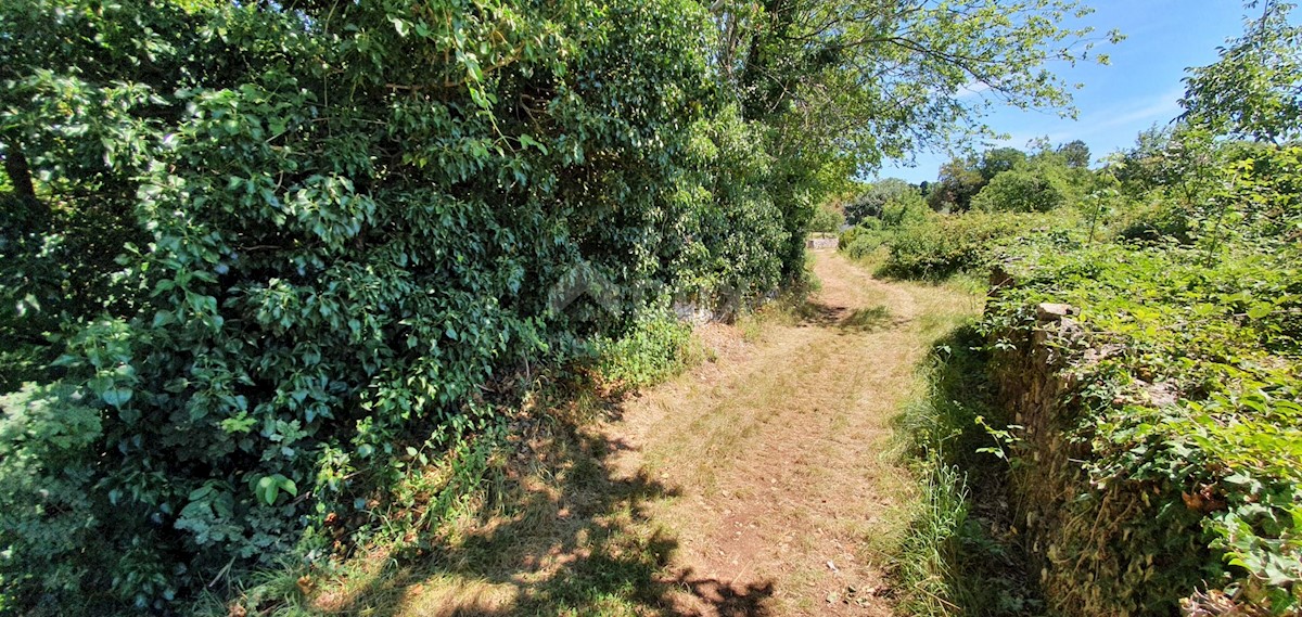Terreno Nedešćina, Sveta Nedelja, 2.629m2