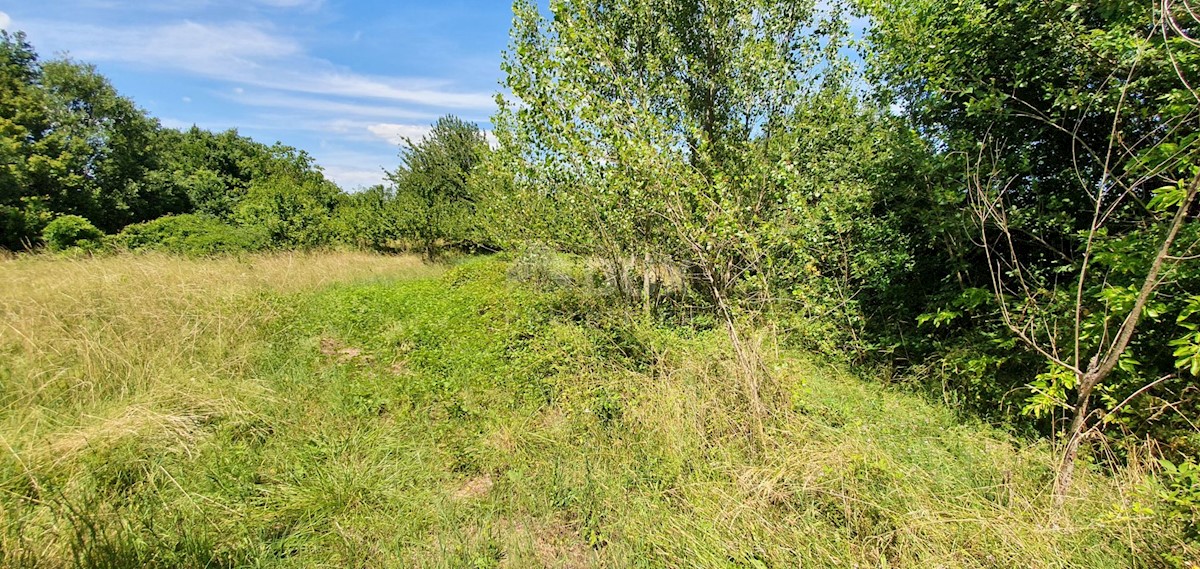 Terreno Nedešćina, Sveta Nedelja, 2.629m2