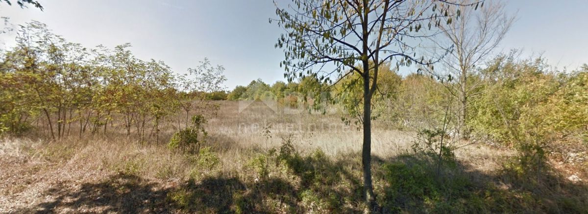 Terreno Filipana, Marčana, 11.552m2
