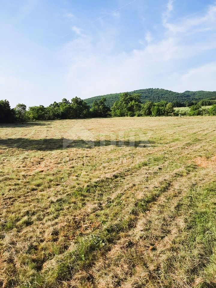 Terreno Labin, 4.000m2