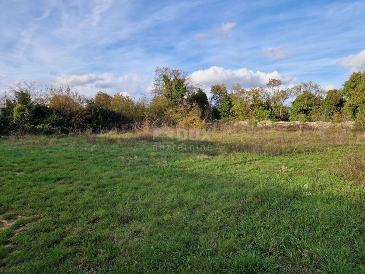 ISTRIA, SVETVINČENAT - Terreno edificabile in posizione comoda