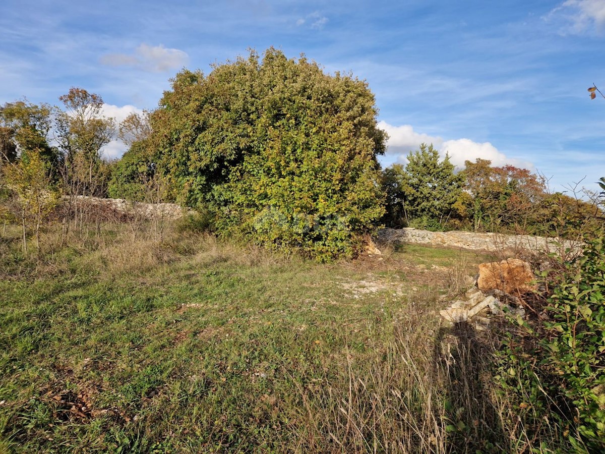 ISTRIA, SVETVINČENAT - Terreno edificabile in posizione comoda