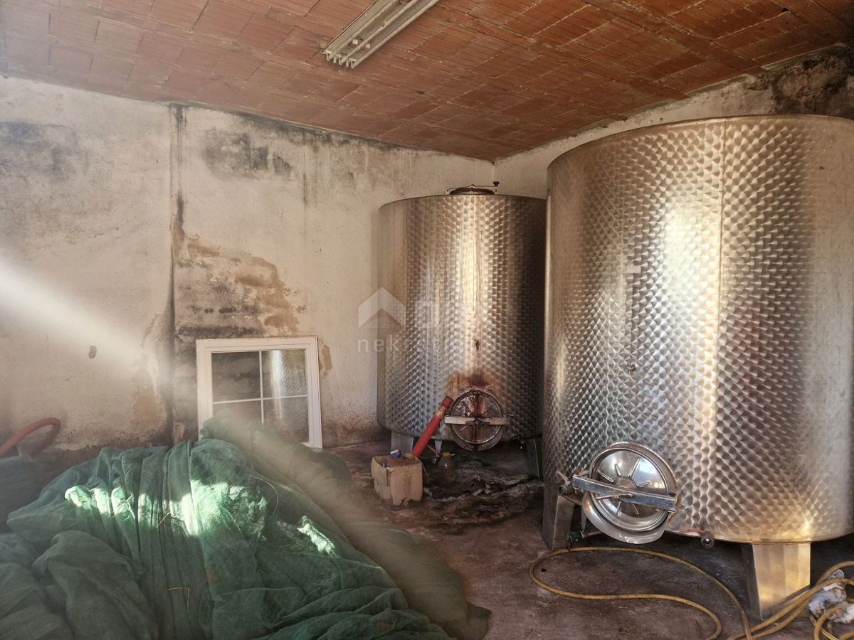 ISTRIA, NOVIGRAD - Casa al mare