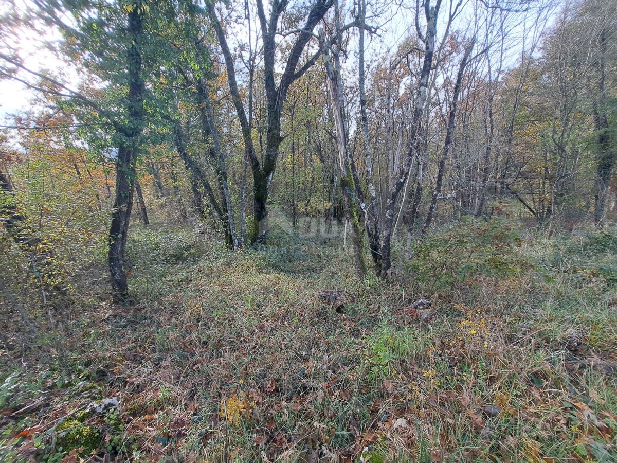 Terreno Permani, Matulji, 5.100m2