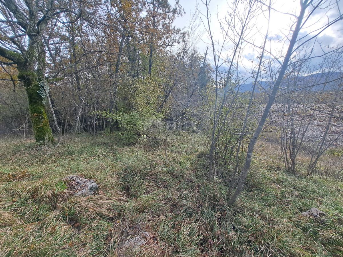 Terreno Permani, Matulji, 5.100m2