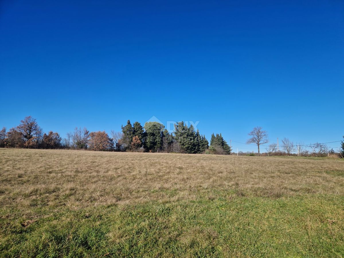 ISTRIA, BARBAN - Ampio complesso di terreno in ottima posizione