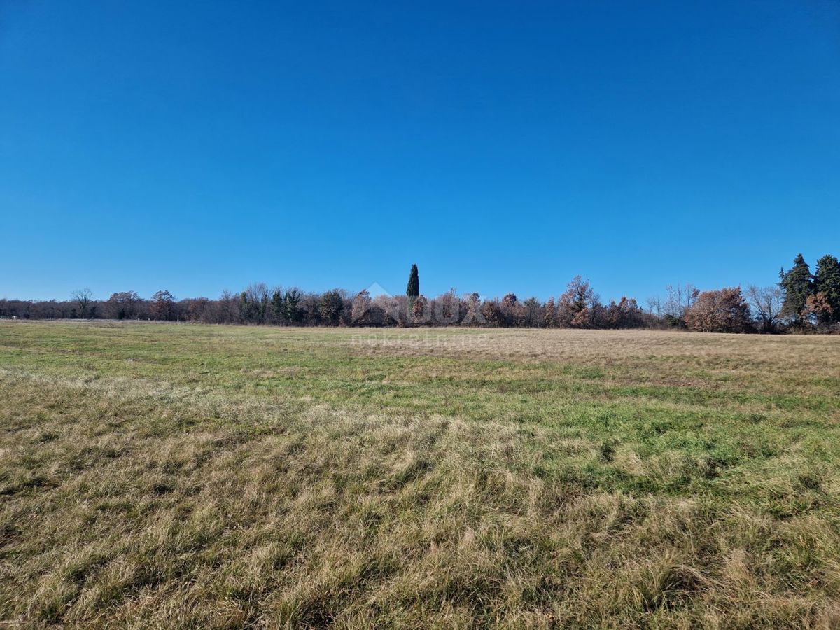 ISTRIA, BARBAN - Ampio complesso di terreno in ottima posizione