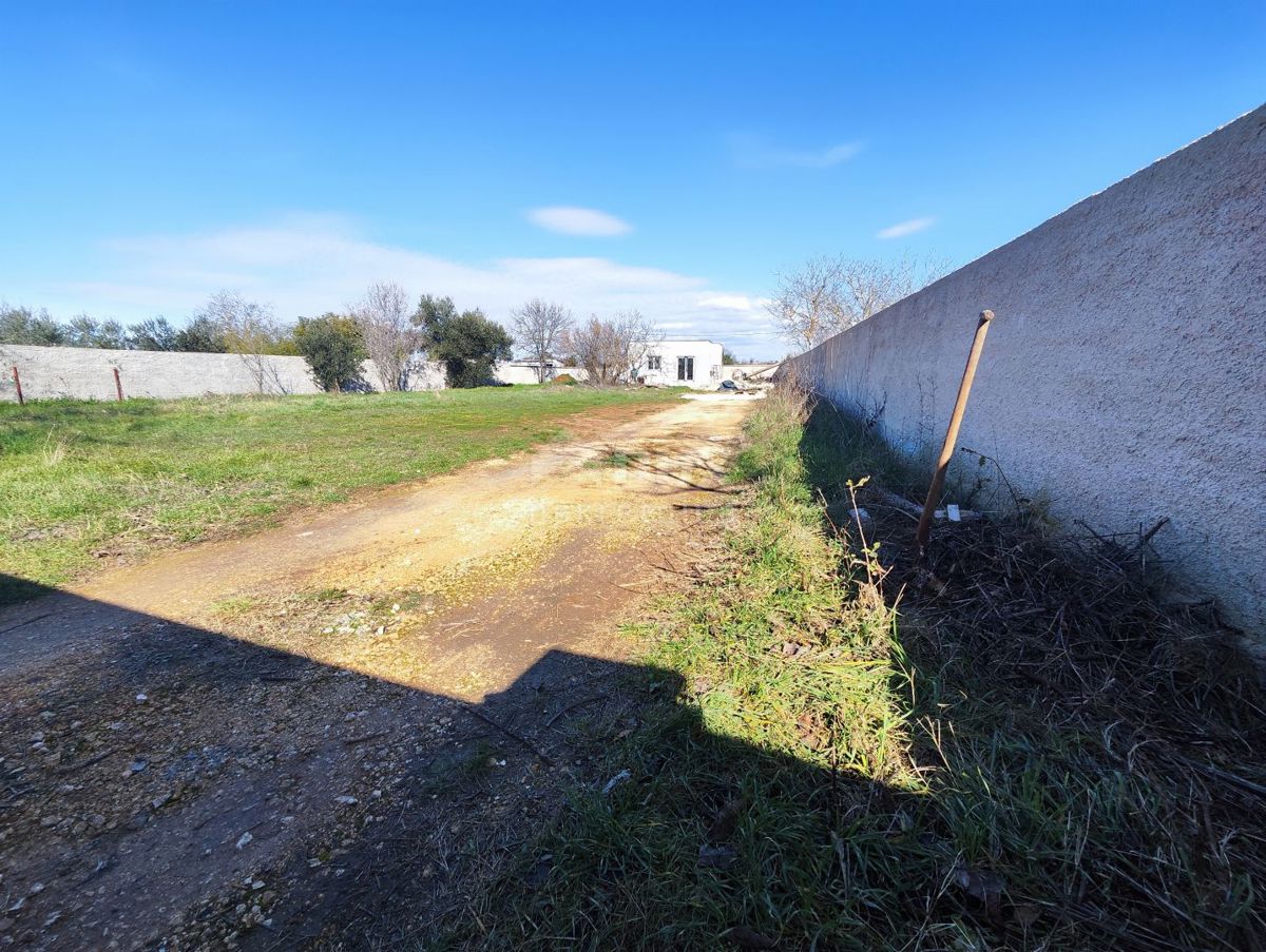 ISTRIA, POLA-Terreno agricolo con impianto legalizzato