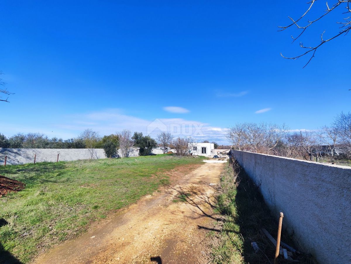 ISTRIA, POLA-Terreno agricolo con impianto legalizzato