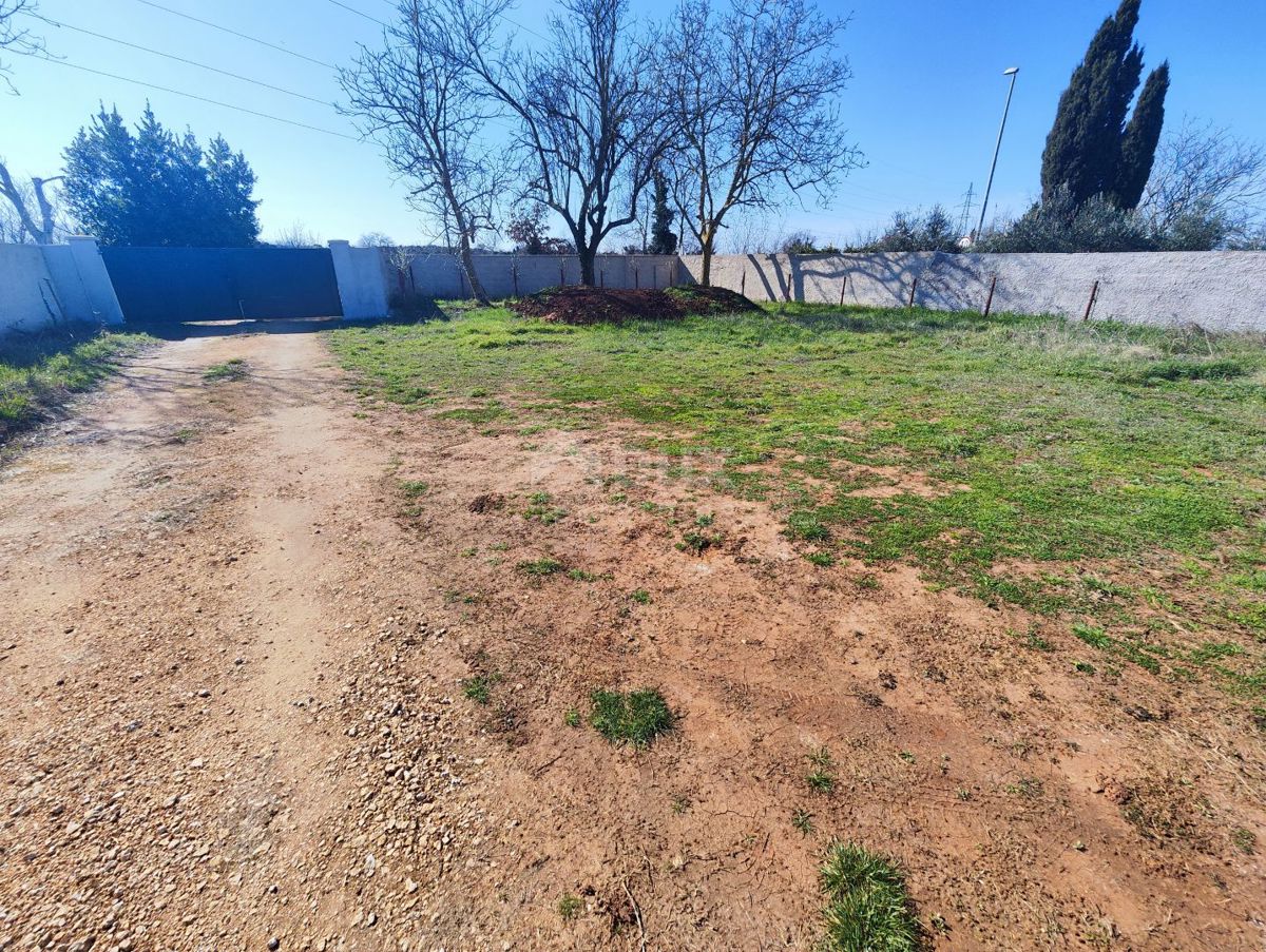 ISTRIA, POLA-Terreno agricolo con impianto legalizzato