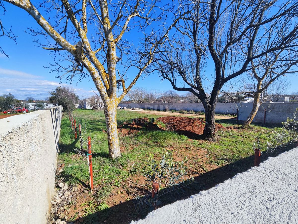 ISTRIA, POLA-Terreno agricolo con impianto legalizzato