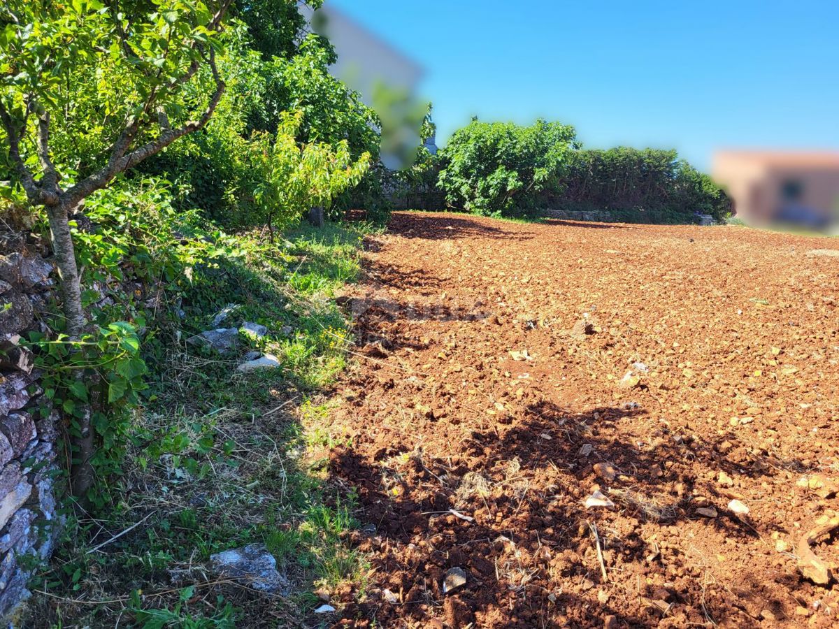 ISTRIA, CITTANOVA - Terreni edificabili e agricoli