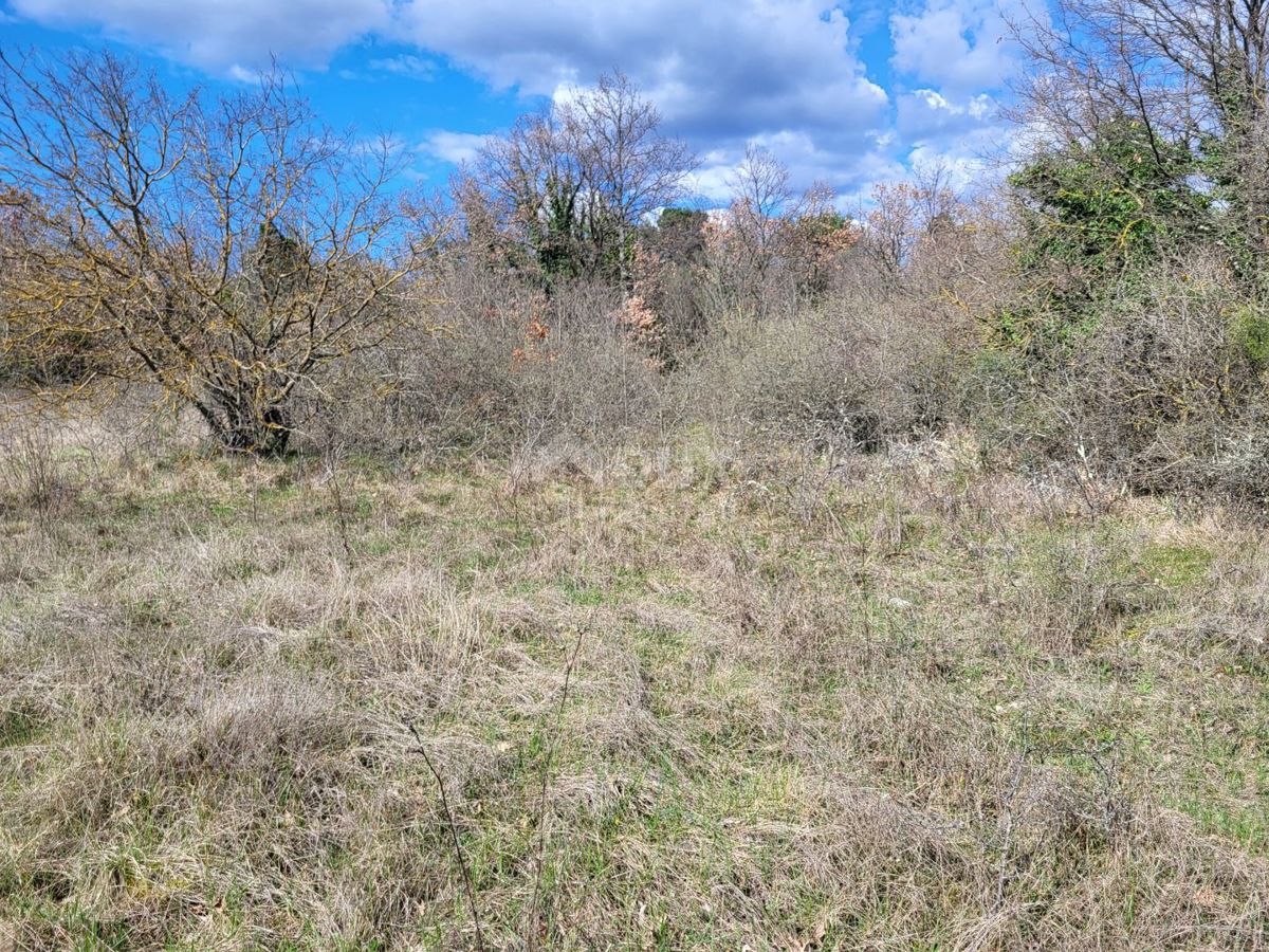 Terreno Svetvinčenat, 3.000m2