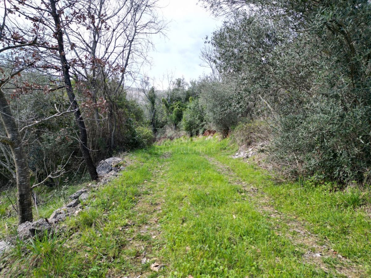 Terreno Raša, 1.150m2