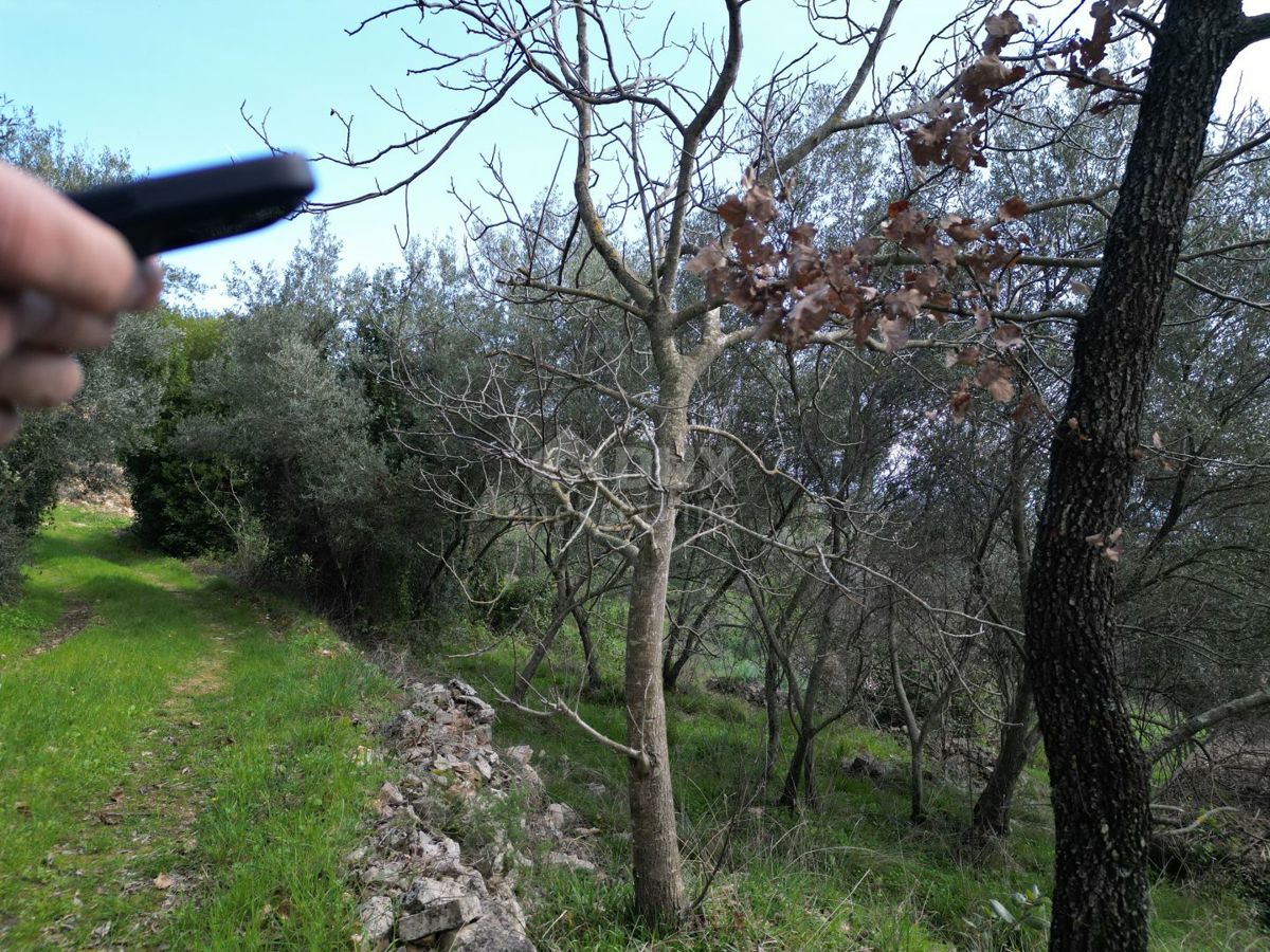 LABIN, SVETA MARINA- vecchia casa con terreno edificabile 435m2, con vista mare e progetto concettuale