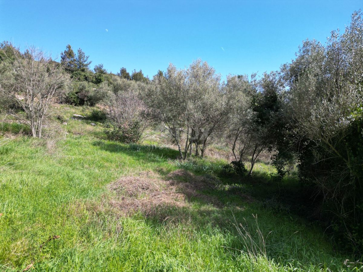 LABIN, SVETA MARINA- vecchia casa con terreno edificabile 435m2, con vista mare e progetto concettuale