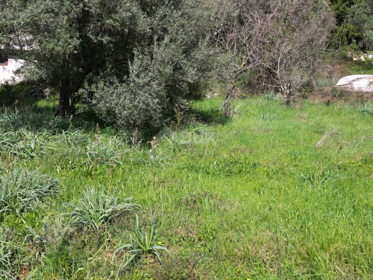 LABIN, SVETA MARINA- vecchia casa con terreno edificabile 435m2, con vista mare e progetto concettuale