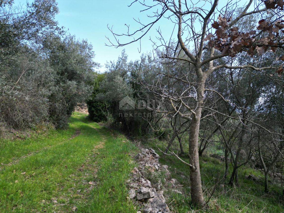 LABIN, SVETA MARINA- vecchia casa con terreno edificabile 435m2, con vista mare e progetto concettuale