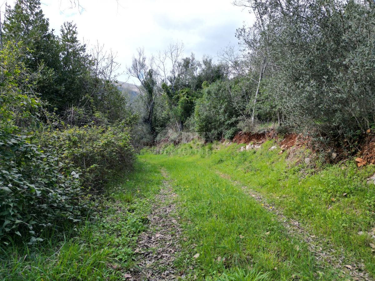 LABIN, SVETA MARINA- vecchia casa con terreno edificabile 435m2, con vista mare e progetto concettuale