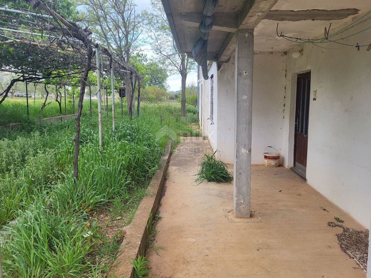 SVETI FILIP I JAKOV, SIKVO - piano terra con giardino per adattamento