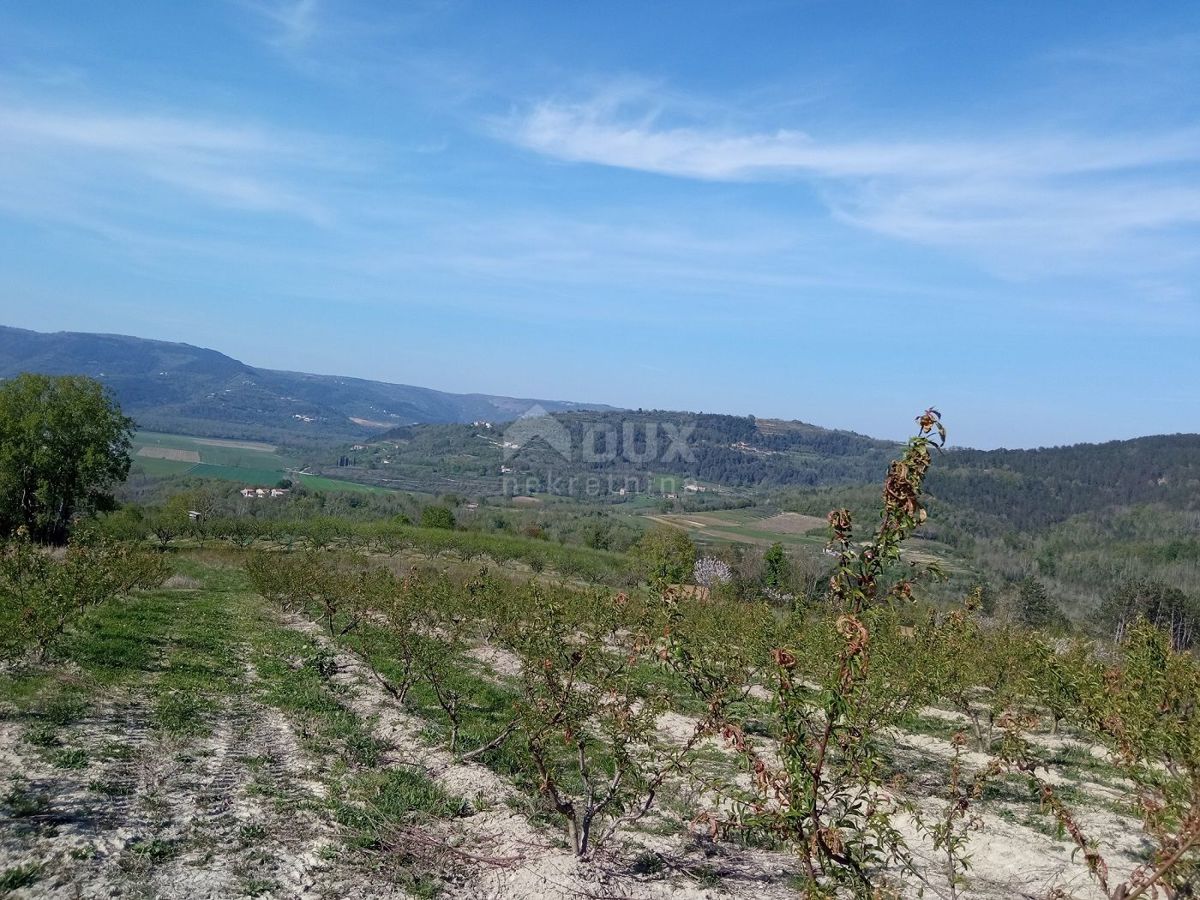ISTRIA, MOTOVUN, DINTORNI - Complesso di terreni edificabili e agricoli in zona appartata con vista su Montona