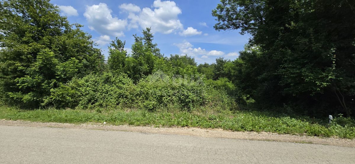 ISTRIA, PIĆAN - Ultimo terreno edificabile nella zona di costruzione