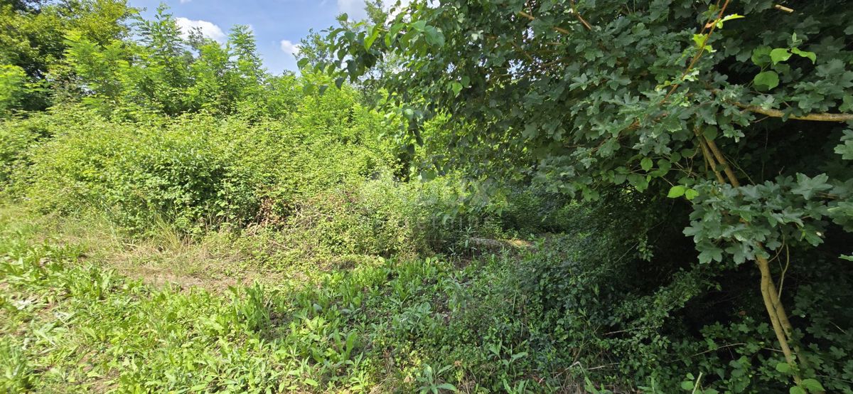 ISTRIA, PIĆAN - Ultimo terreno edificabile nella zona di costruzione