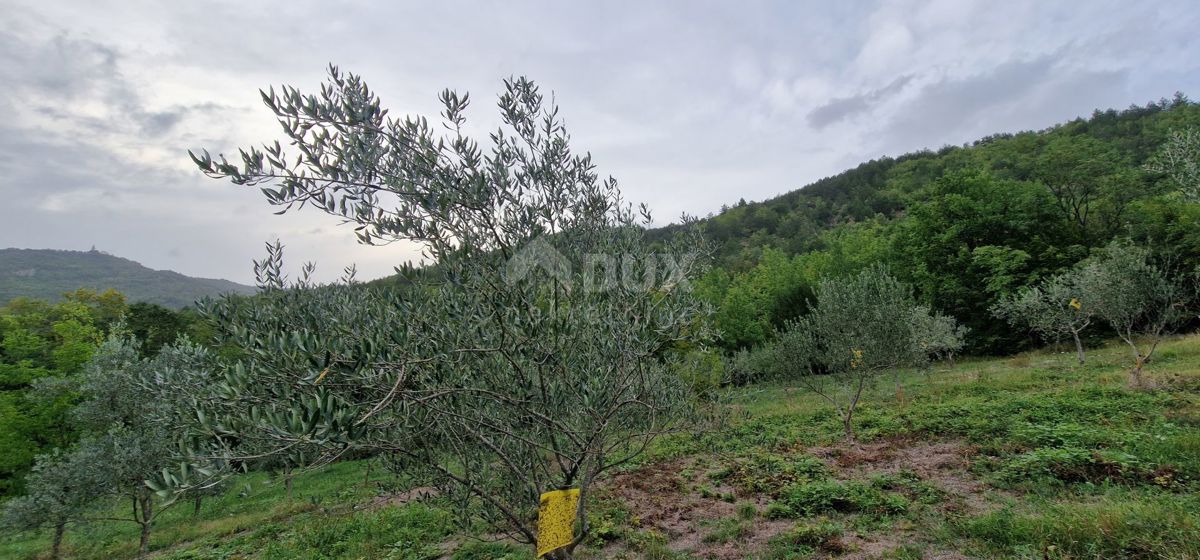 ISTRIA, GRAČIŠĆE - Complesso di terreno attrezzato e con bellissima vista