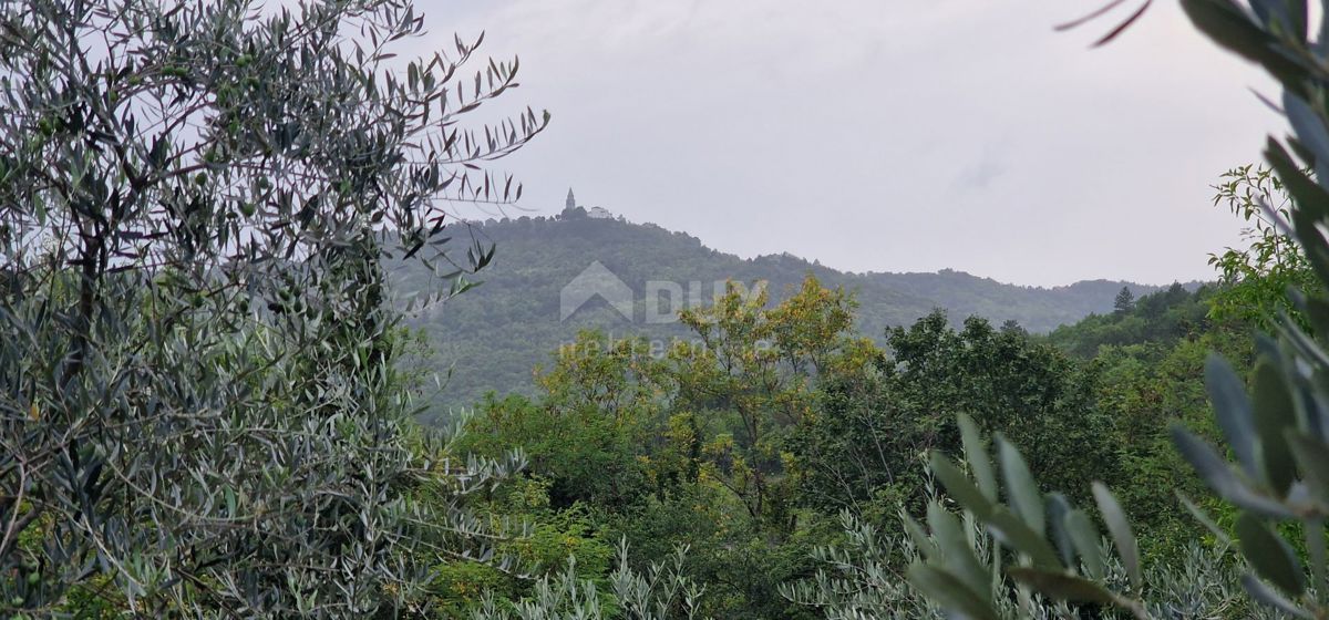 ISTRIA, GRAČIŠĆE - Complesso di terreno attrezzato e con bellissima vista