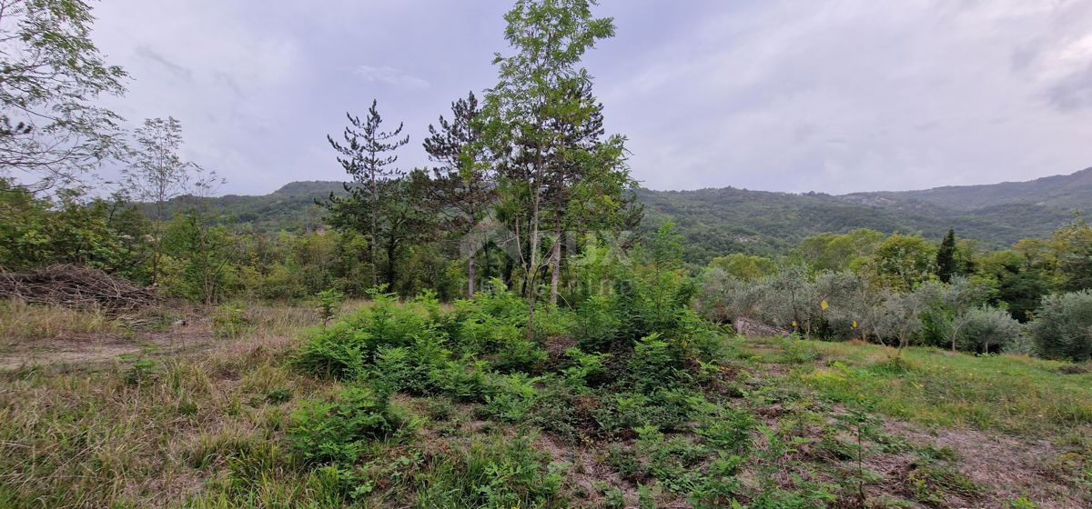 ISTRIA, GRAČIŠĆE - Complesso di terreno attrezzato e con bellissima vista