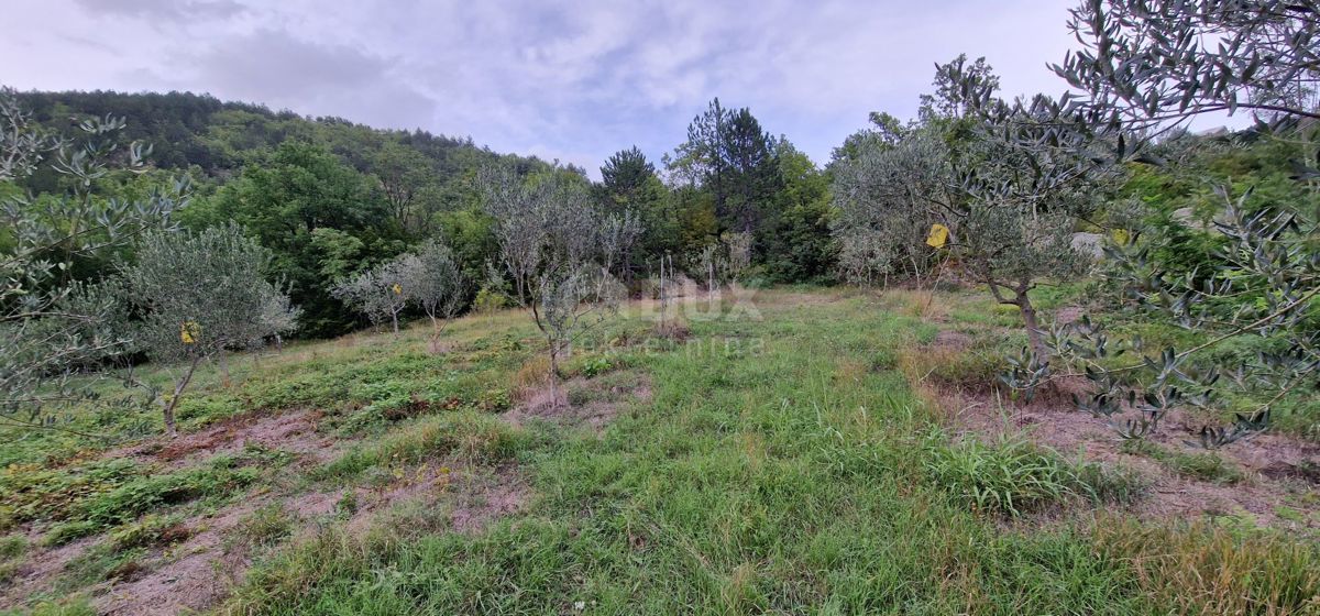 ISTRIA, GRAČIŠĆE - Complesso di terreno attrezzato e con bellissima vista