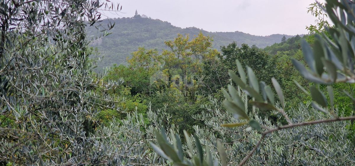 ISTRIA, GRAČIŠĆE - Complesso di terreno attrezzato e con bellissima vista